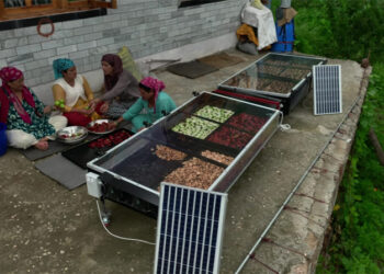 Rudra Solar Energy Accelerates Rural Transformation Through Innovative Solar Dryers and Micro‑Entrepreneur Empowerment