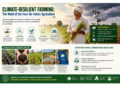 Sustainable Agriculture Can Secure the Future of India’s Farmers